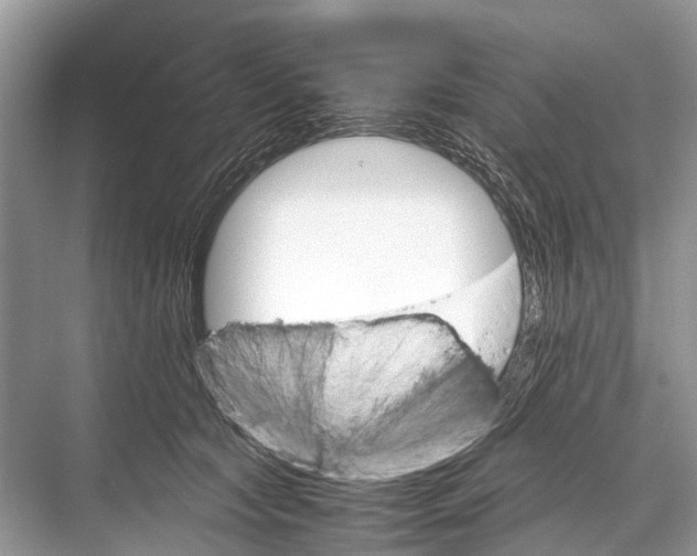 X0000067850561200605041718