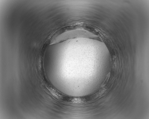 X0000067850562200605041718