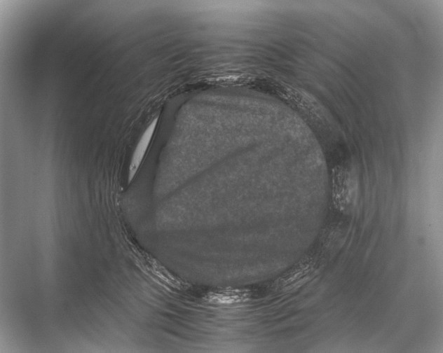 X0000067850563200605041718