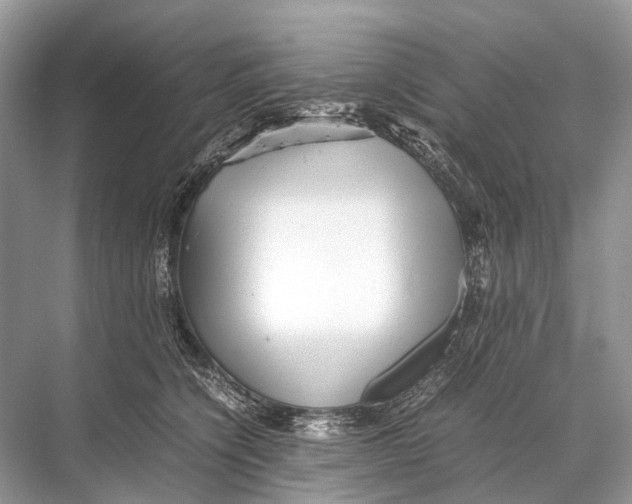 X0000067850564200605041718