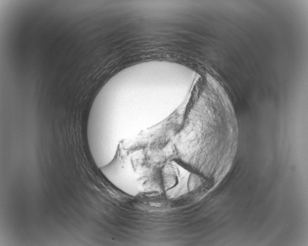 X0000067850565200605041718