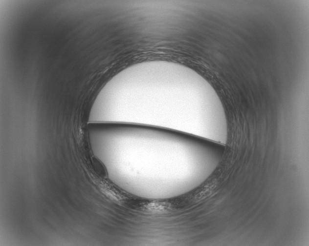 X0000067850566200605041718