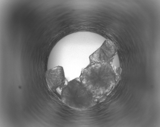 X0000067850569200605041718