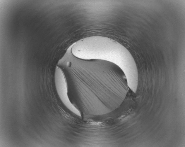 X0000067850570200605041718