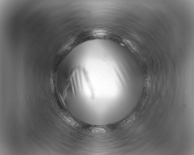 X0000067850572200605041718