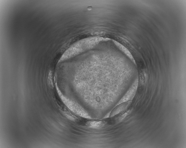 X0000067850575200605041718