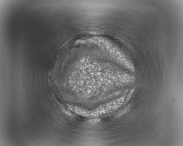 X0000067850576200605041718