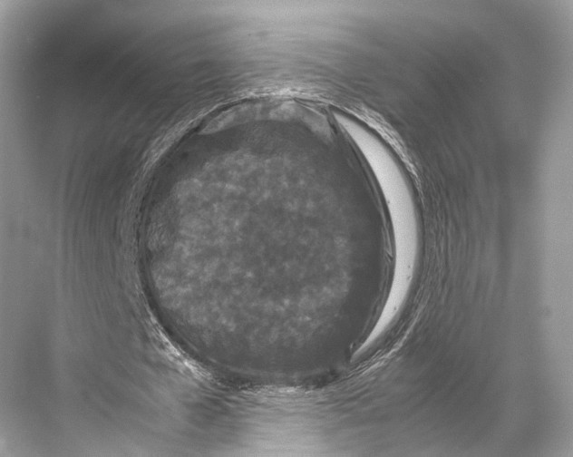 X0000067850577200605041718