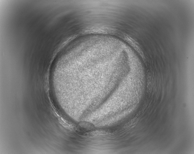 X0000067850578200605041718