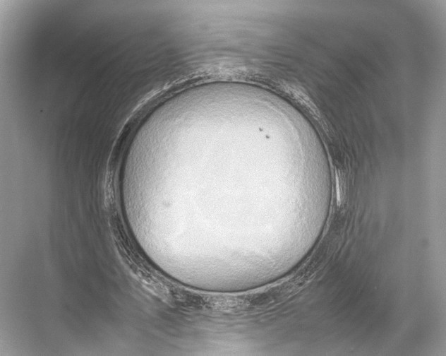 X0000067850579200605041718