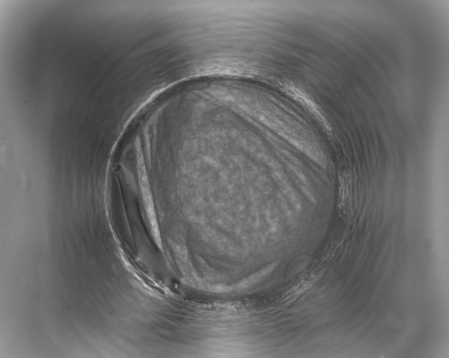 X0000067850580200605041718