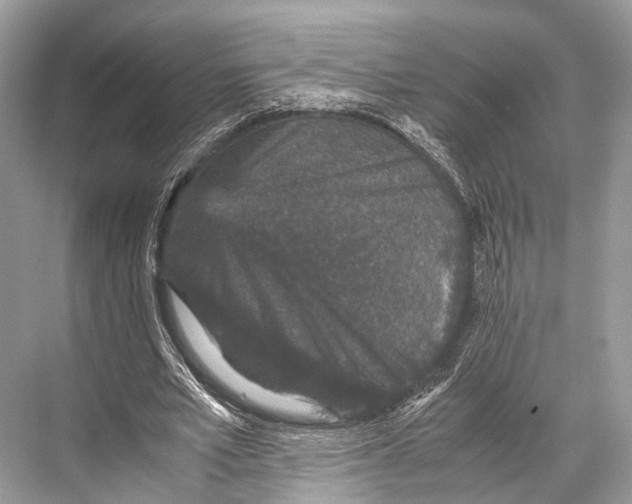 X0000067850581200605041717