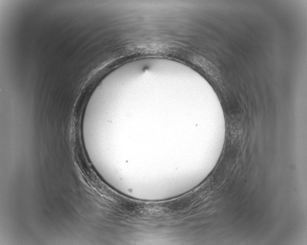 X0000067850583200605041717