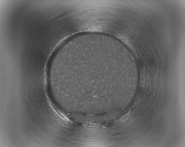 X0000067850584200605041717