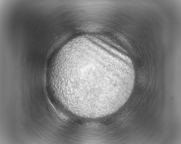 X0000067850586200605041717