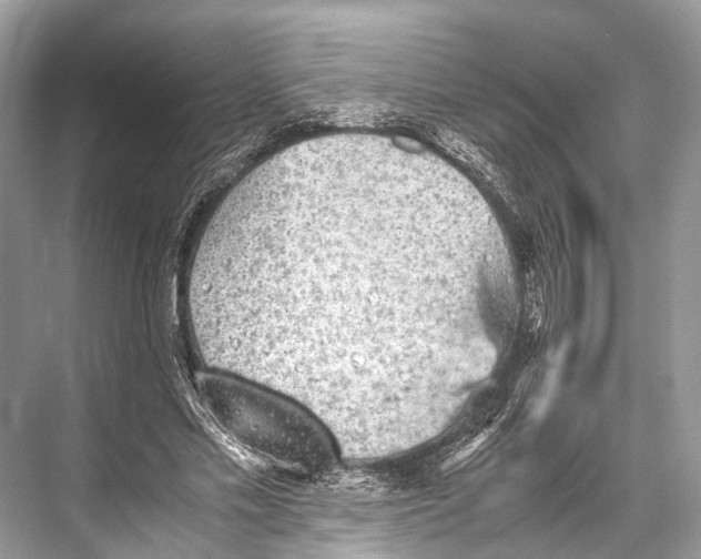 X0000067850589200605041717