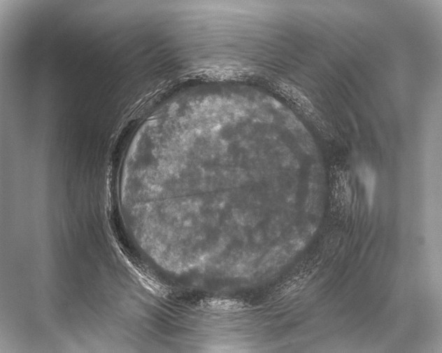 X0000067850590200605041717