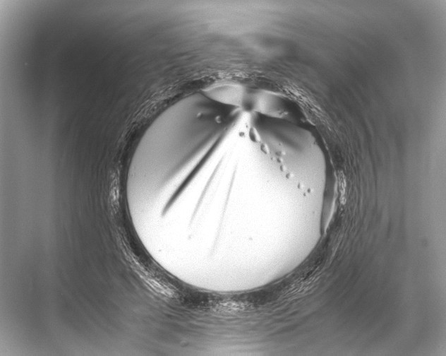 X0000067850593200605041717