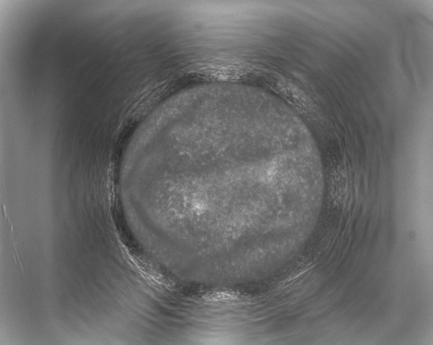 X0000067850594200605041717