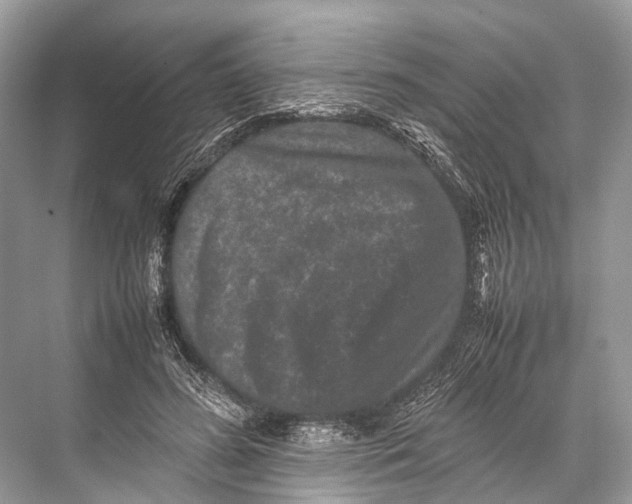 X0000067850596200605041717