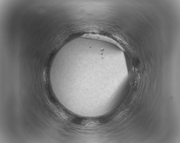 X0000067850597200605041717