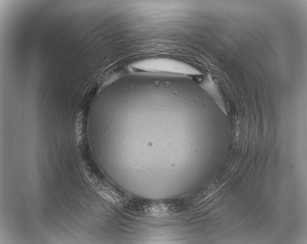 X0000067850600200605041717