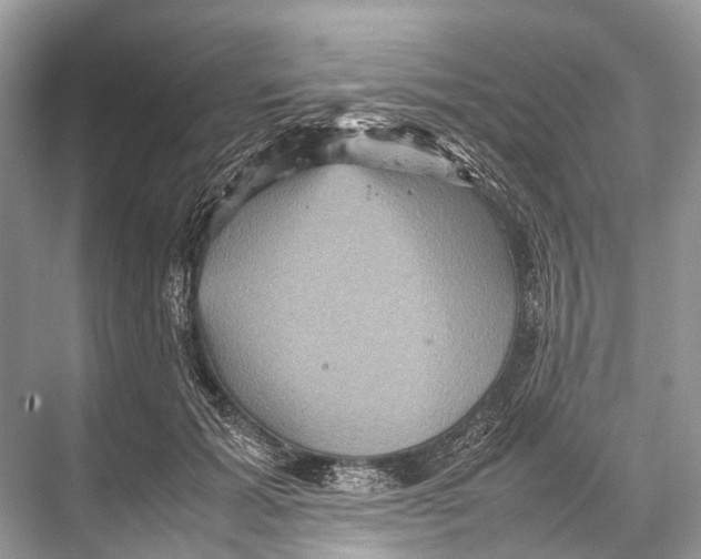 X0000067850605200605041717