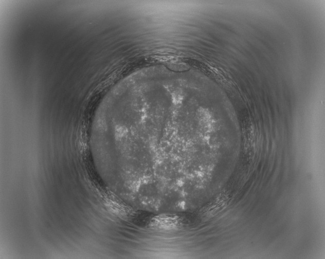 X0000067850606200605041717