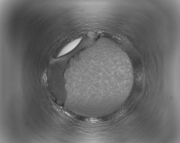 X0000067850607200605041717