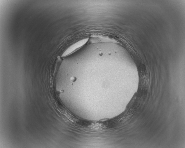 X0000067850609200605041717