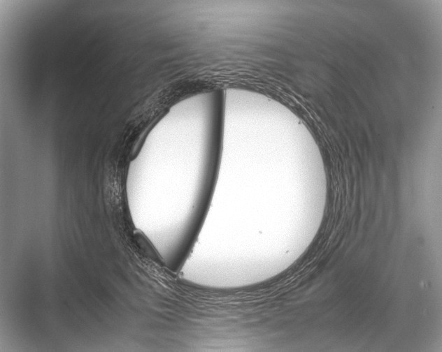 X0000067850613200605041717