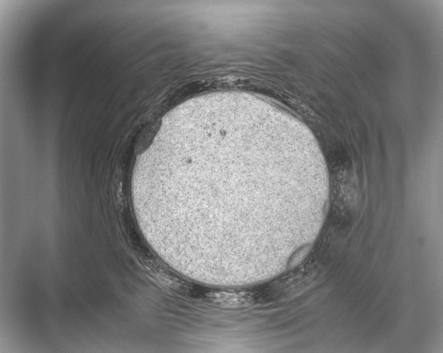 X0000067850615200605041717