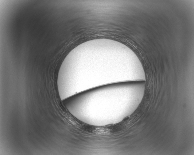 X0000067850617200605041717