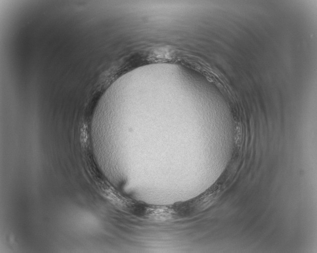 X0000067850621200605041717