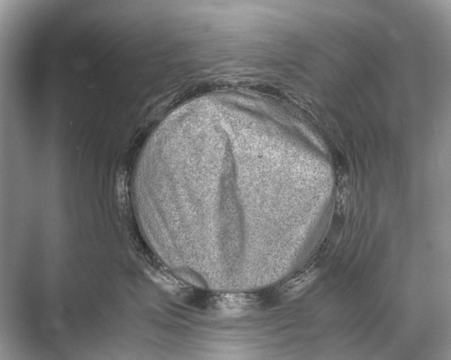 X0000067850623200605041717