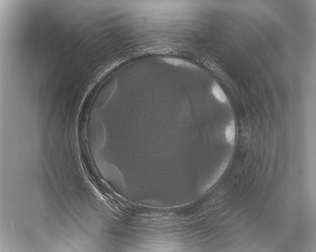 X0000067850626200605041716