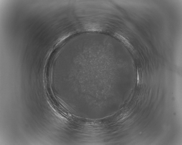 X0000067850627200605041716