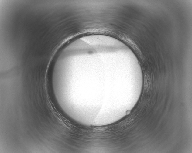 X0000067850628200605041716