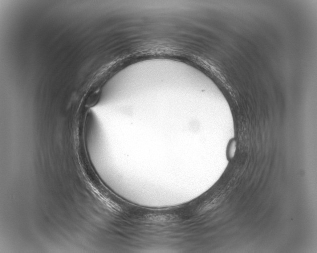 X0000067850629200605041716