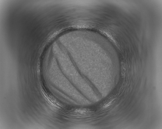 X0000067850631200605041716