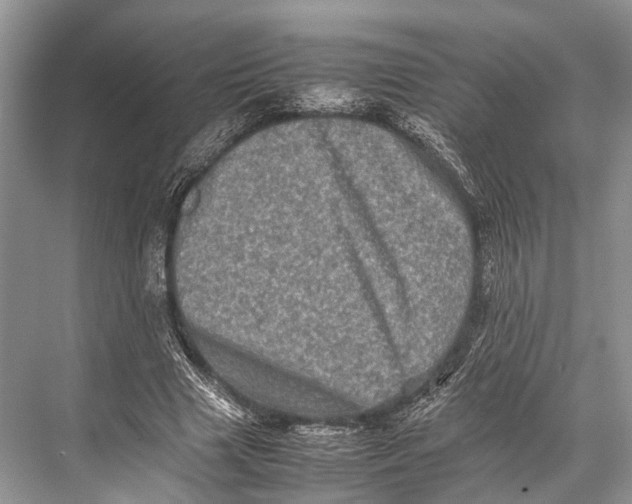 X0000067850633200605041716