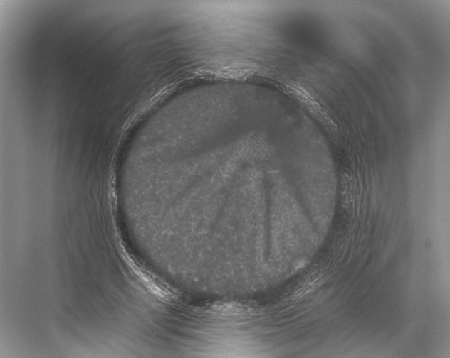 X0000067850634200605041716