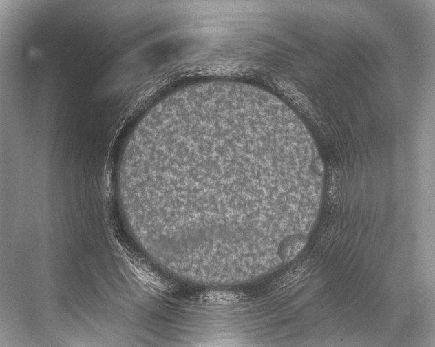 X0000067850636200605041716