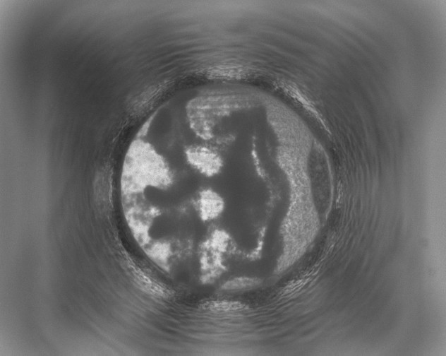 X0000067850637200605041716