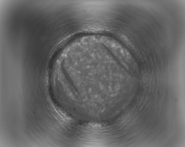 X0000067850640200605041716