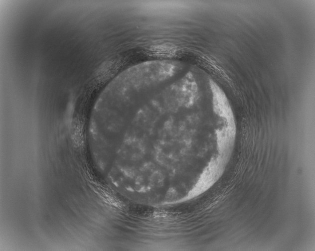 X0000067850641200605041716