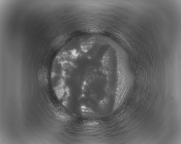 X0000067850643200605041716