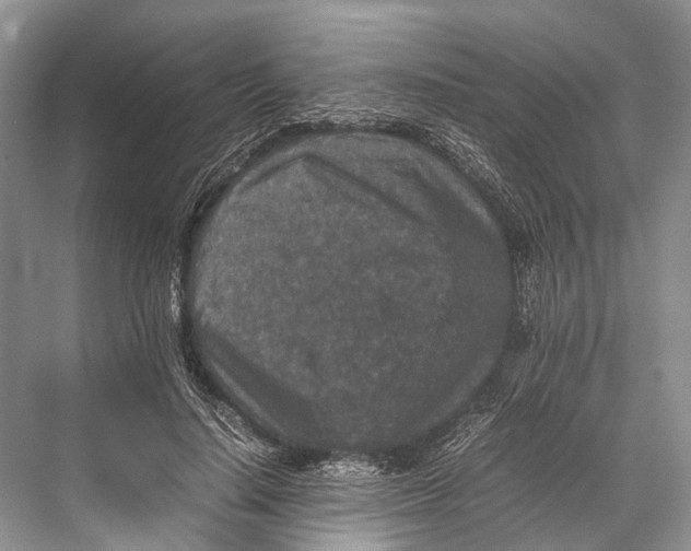 X0000067850644200605041716