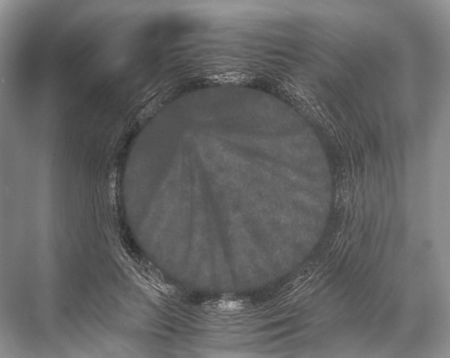 X0000067850647200605041716