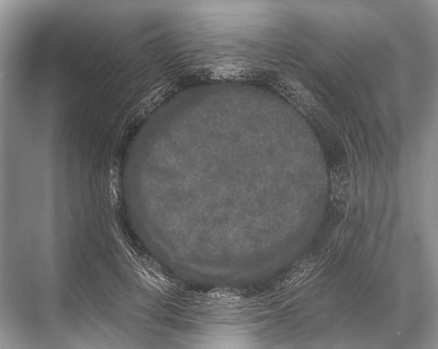 X0000067850648200605041716